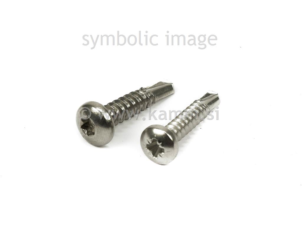 RF VIJAK SAMOV.4.8X25 N 7504