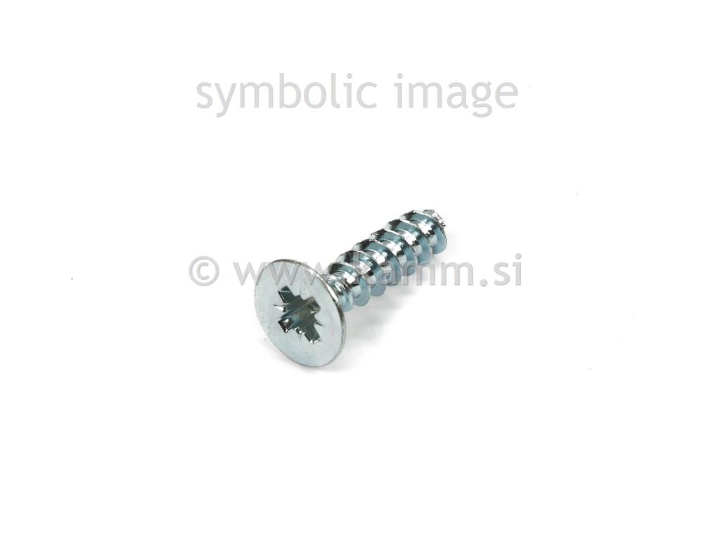 ZN PT VIJAK KA 3.0X 10 BN 13576