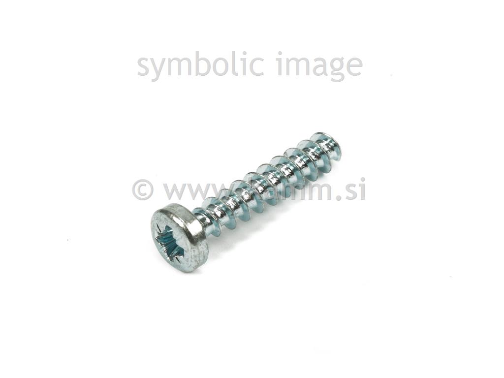 ZN PT VIJAK 3.0 X 8 BN 13577