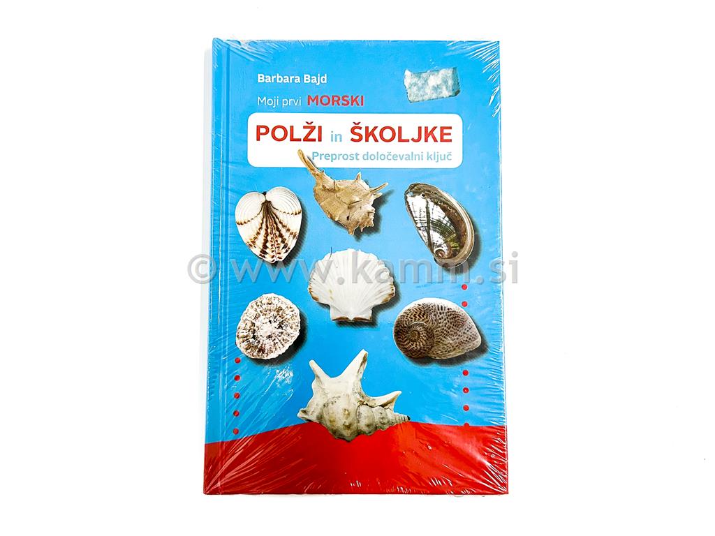 MOJI PRVI MORSKI POLŽI IN ŠKOLJKE