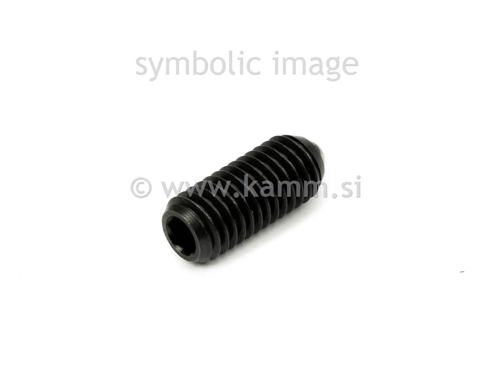 ČRNI ZATIČ S SORNIKOM ZAR. M 5X12