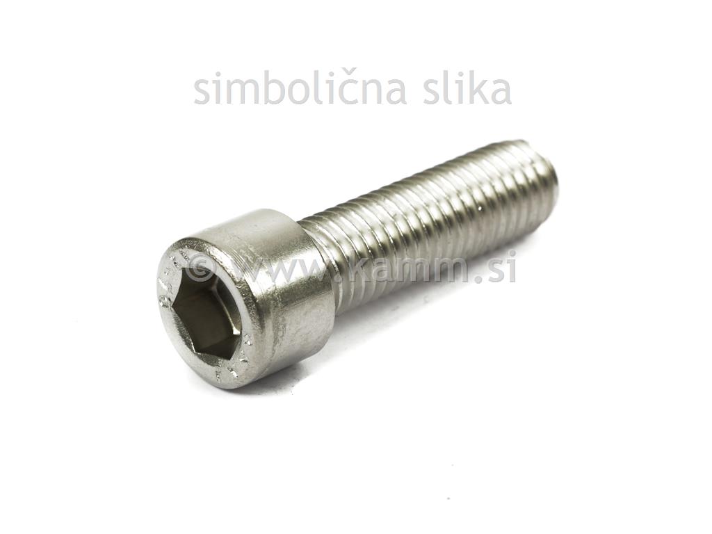 RF imbus vijak M8X120 A4