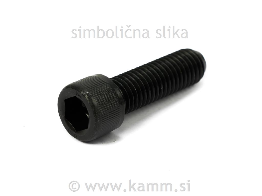 Črni imbus vijak M5X170 8.8