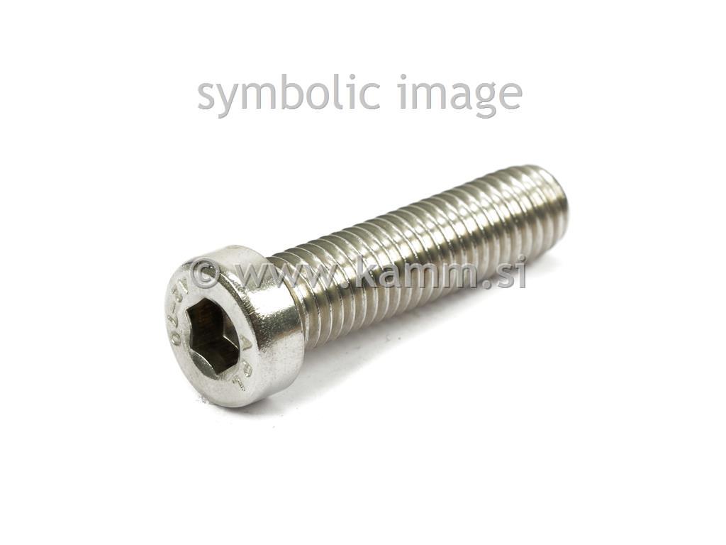 RF imbus vijak M8X25 A2