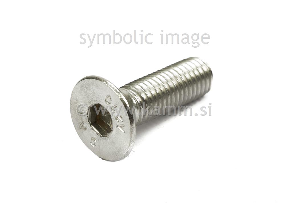 RF imbus vijak M5X25 A2