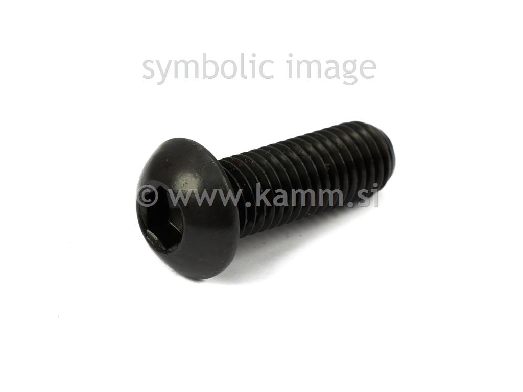 Črni imbus vijak M5X25 10.9