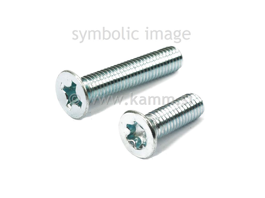 ZN VIJAK VGR.+ M 6 X 70 torx 965