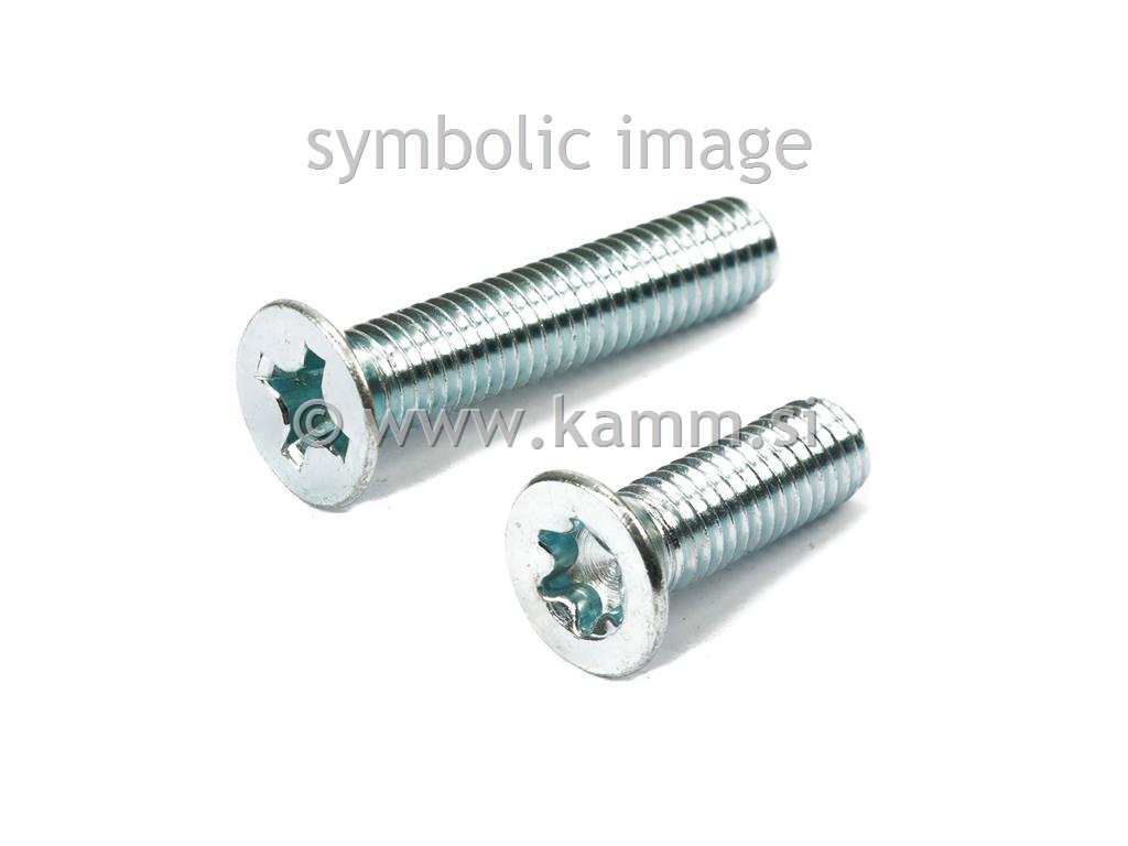 ZN VIJAK TORX M6 X 12 BN 4851