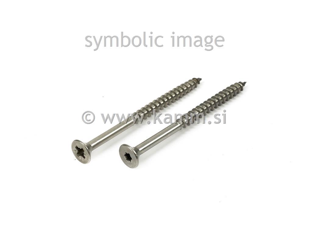 RF IVER VIJAK 8.0X140/80 9047 TORX
