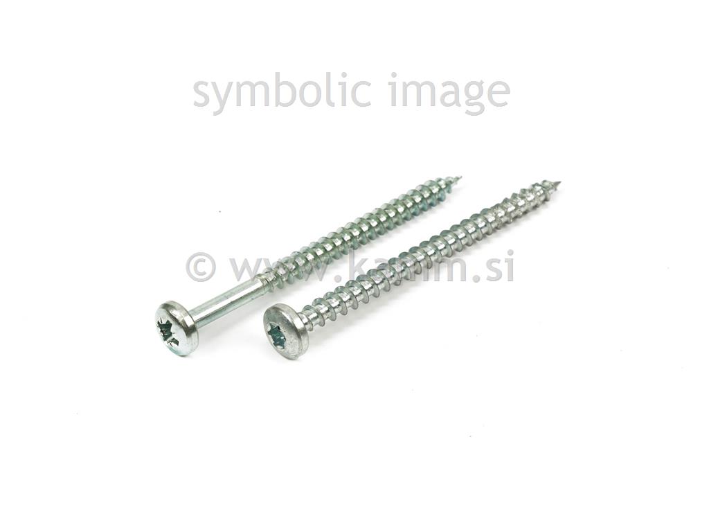 ZN IVER VIJAK CIL. 4.0X 40